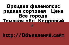 Орхидея фаленопсис редкая сортовая › Цена ­ 800 - Все города  »    . Томская обл.,Кедровый г.